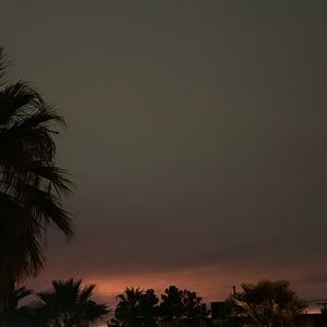 Meet your Posher, Daniela